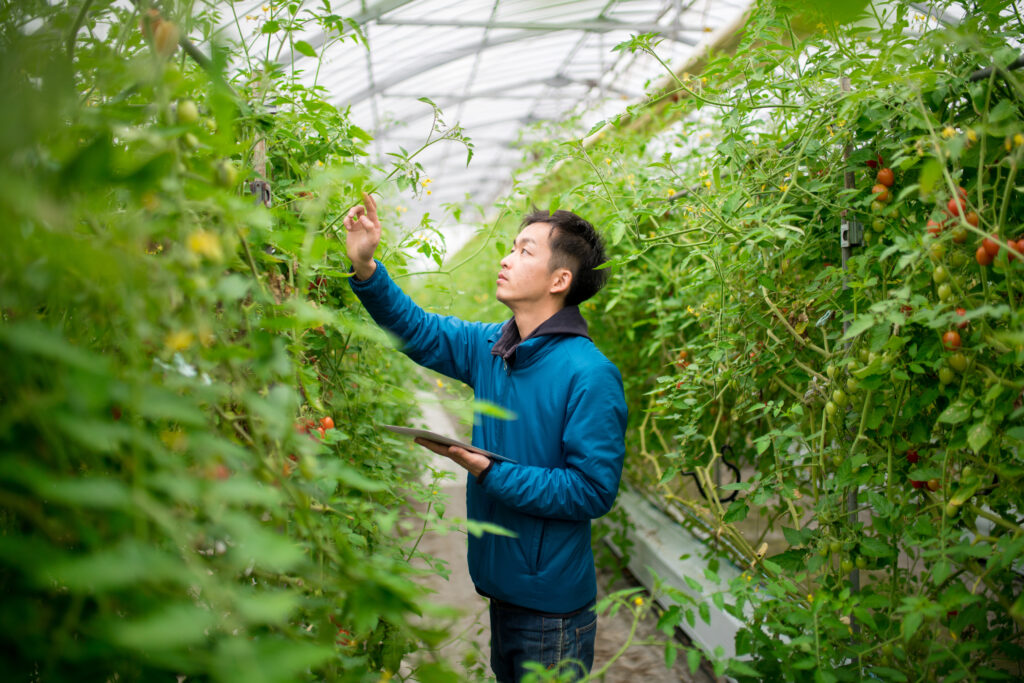 Man with a digital tablet in a greenhouse conducting research