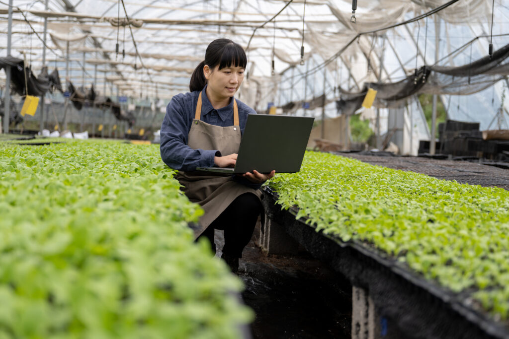 A female agronomist works with a laptop computer in an organic vegetable nursery.