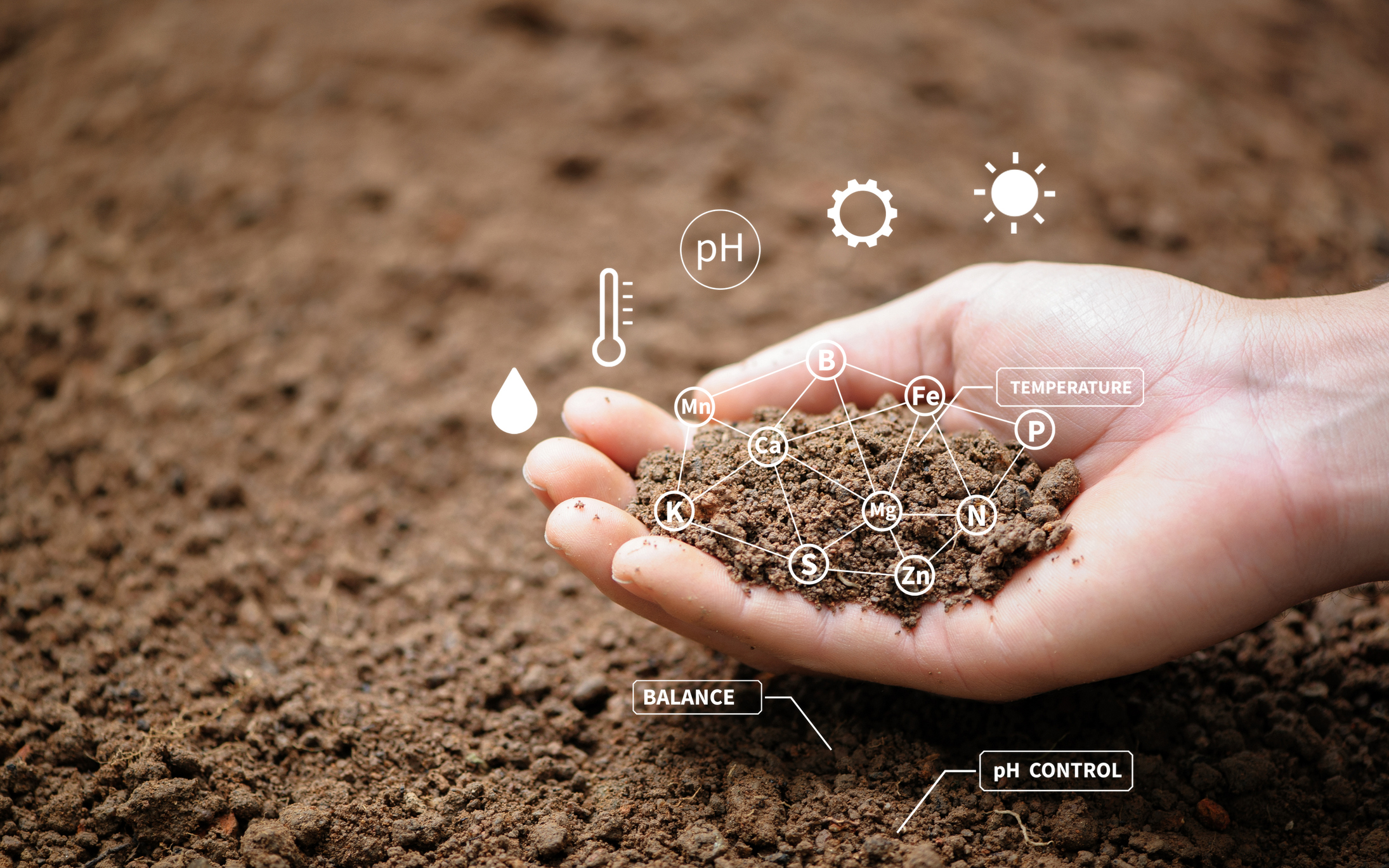 Top view of soil in hands for check the quality of the soil for control soil quality before seed plant