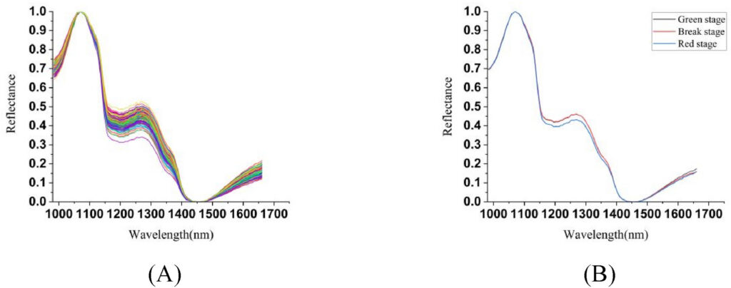 Hyperspectral Imaging for Food Manufacturing Inspection